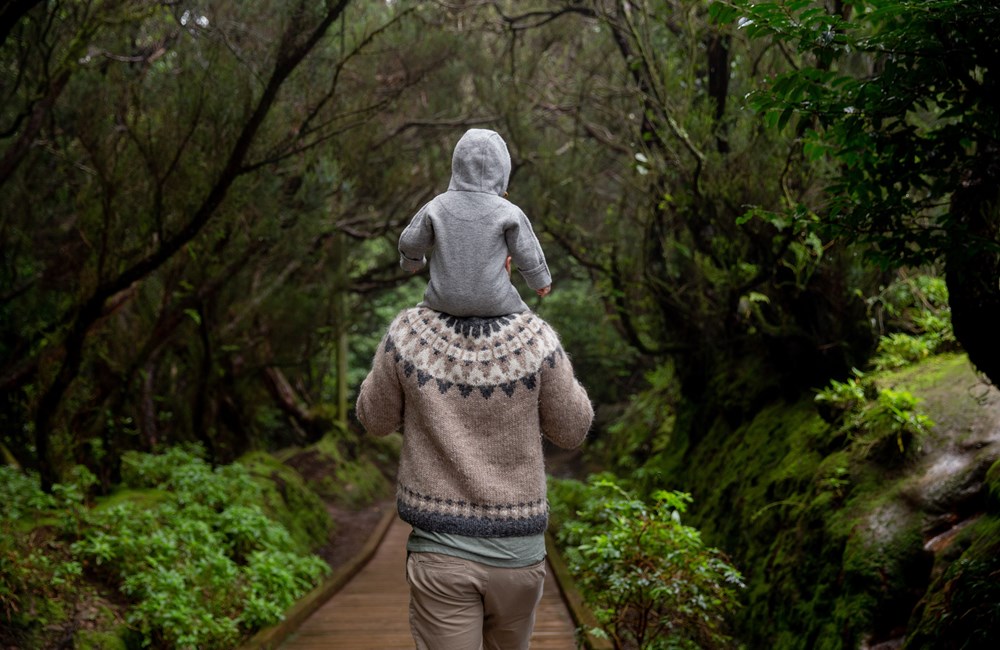 Schematherapie deel 3: Oudermodi