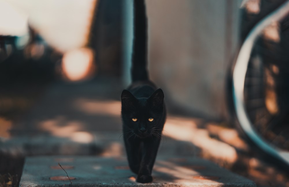 Van bijgeloof naar dwang